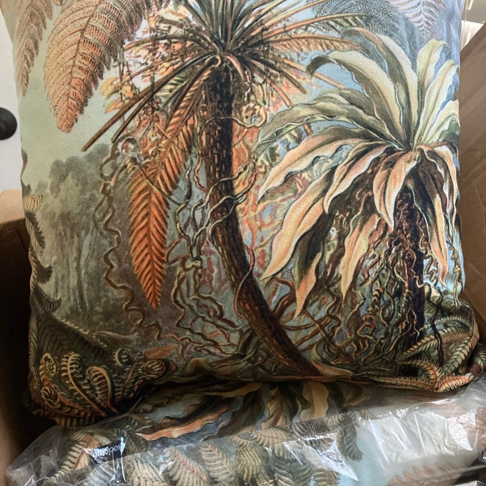 Throw pillows